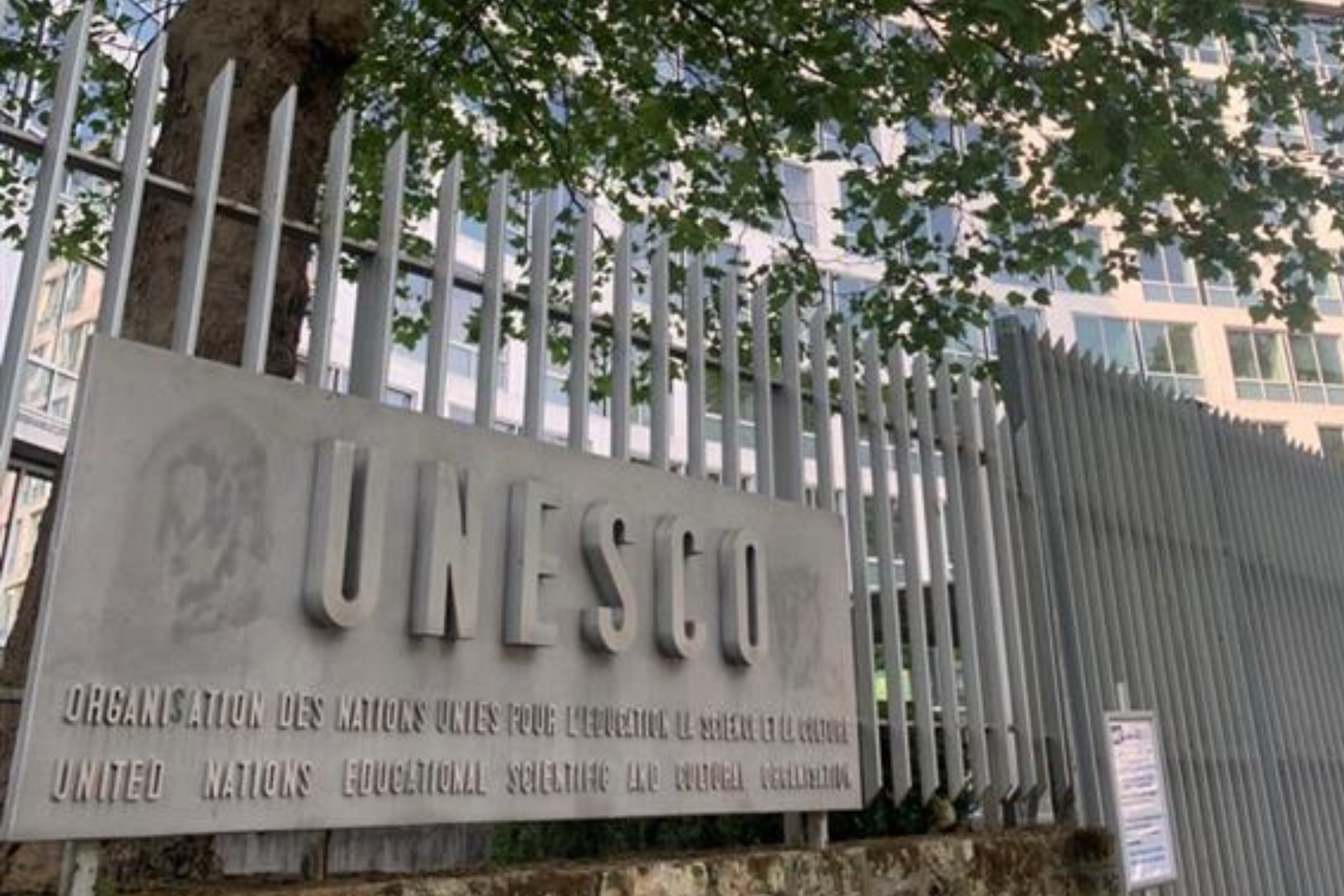 Featured image for “IAF Statements to UNESCO on the revision of the 2005 Convention Operational Guidelines in the digital environment”