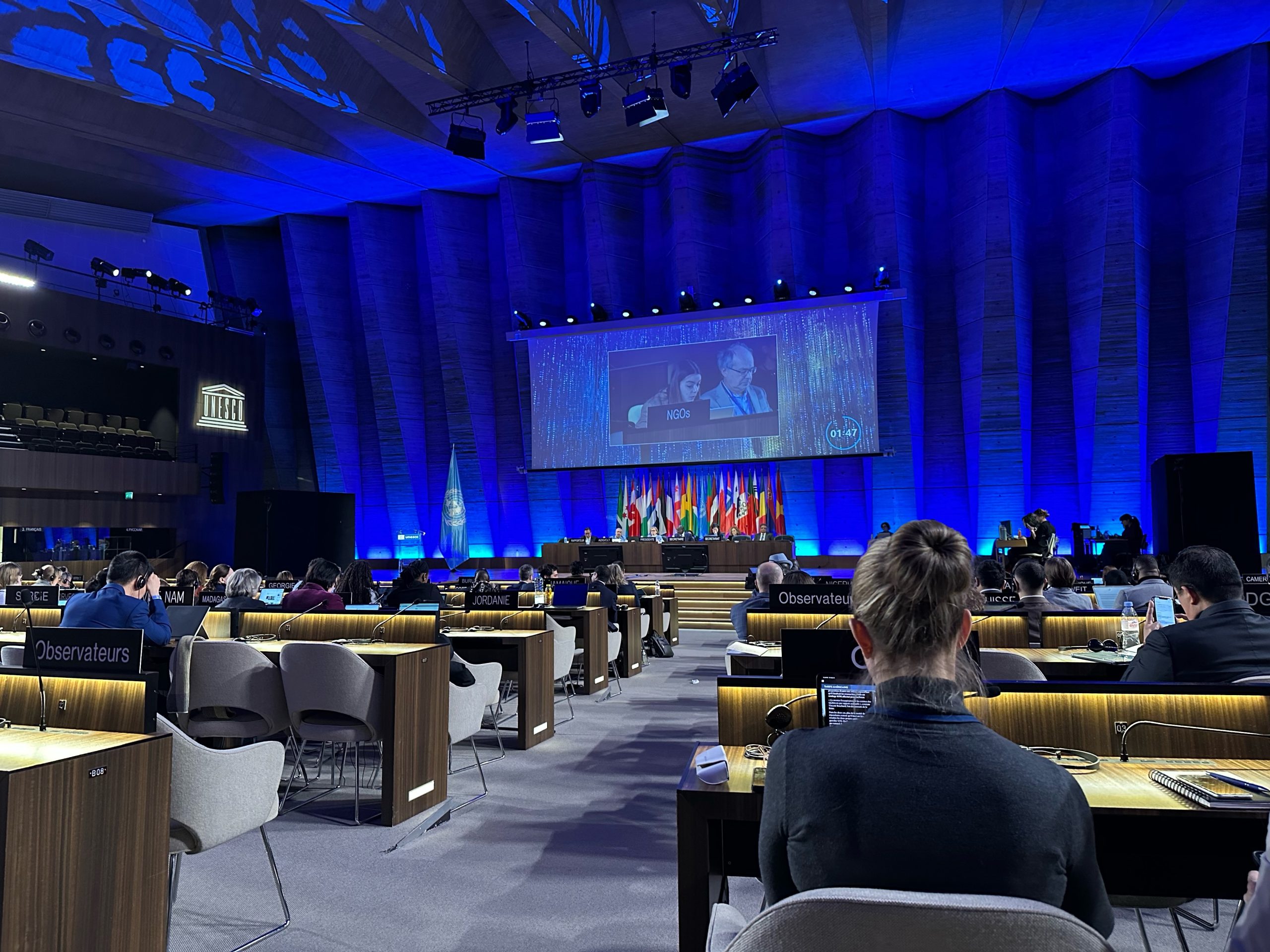 Featured image for “IAF at the 18th Session of the Intergovernmental Committee meeting of the UNESCO 2005 Convention on Protection and Promotion of Diversity of Cultural Expression.”