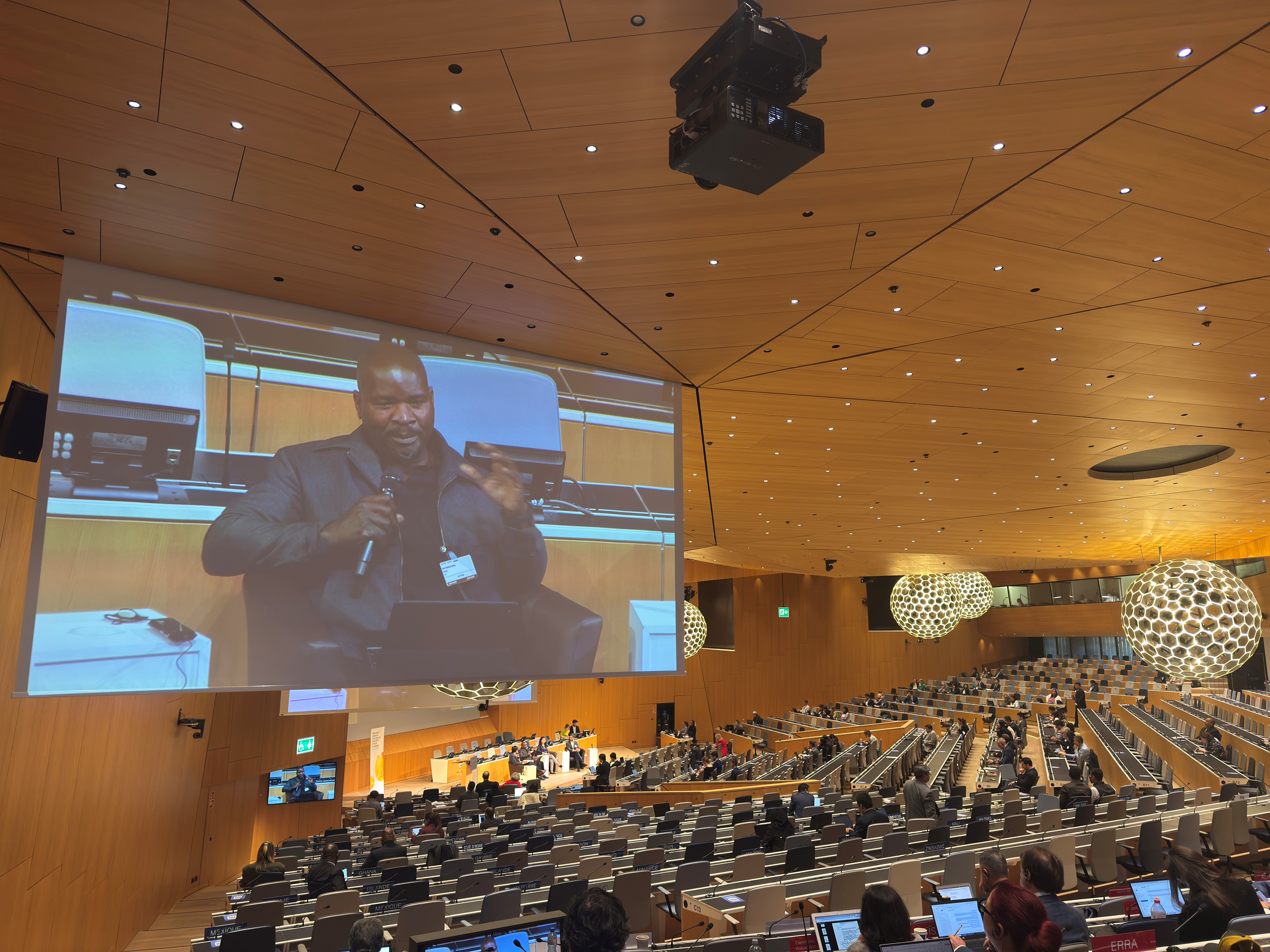 Featured image for “IAF at the 48th Session of the SCCR”